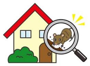 獣害　イラスト